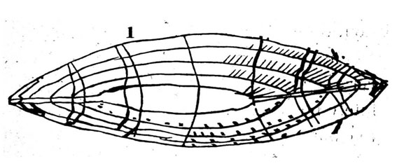 CircumSami 4 2