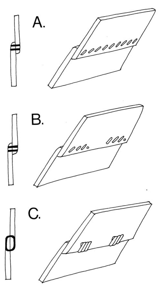 CircumSami 5